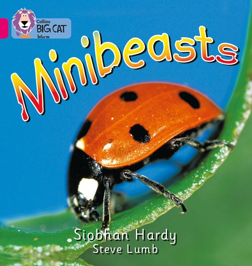 COLLINS BIG CAT MINIBEATS