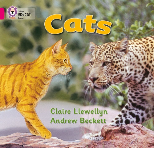 COLLINS BIG CAT CATS