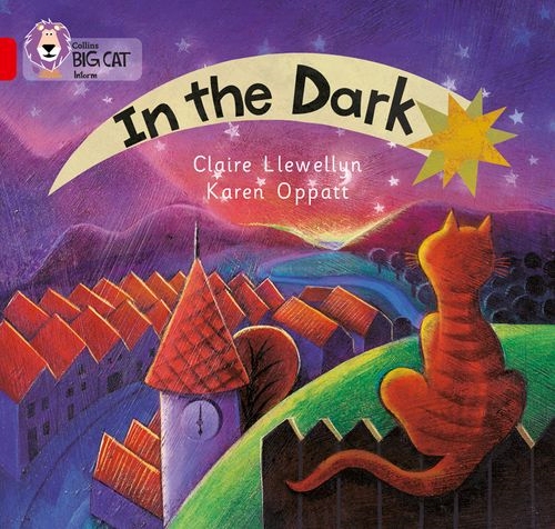 COLLINS BIG CAT IN THE DARK