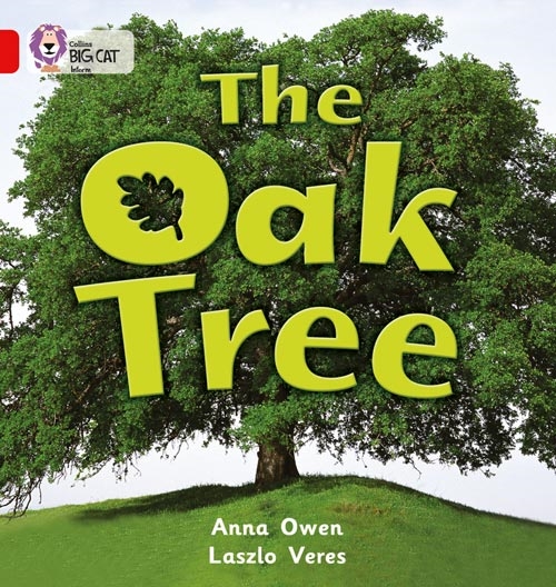 COLLINS BIG CAT THE OAK TREE
