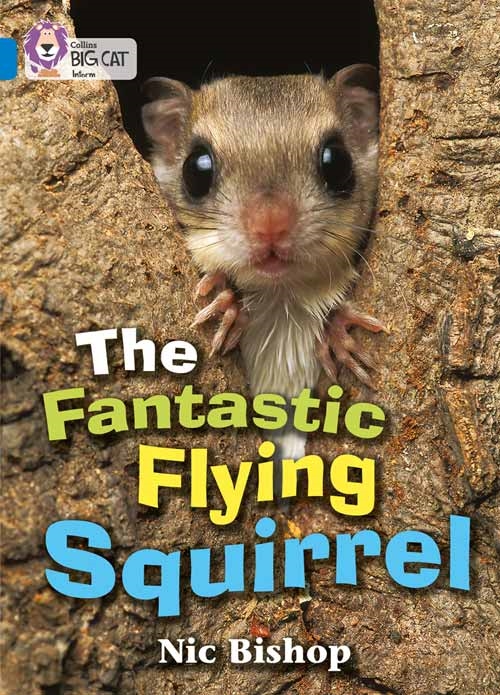 COLLINS BIG CAT THE FANTASTIC FLYING SQUIRREL