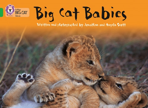 COLLINS BIG CAT BIG CAT BABIES GREEN