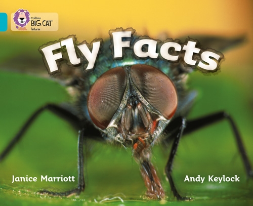 COLLINS BIG CAT FLY FACTS TURQUOISE
