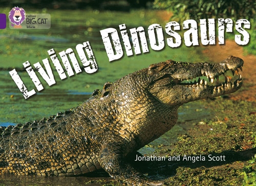 COLLINS BIG CAT LIVING DINOSARUS PURPLE