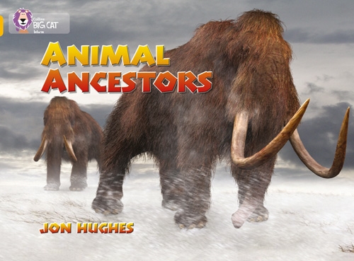 COLLINS BIG CAT ANİMAL ANCESTORS-GOLD