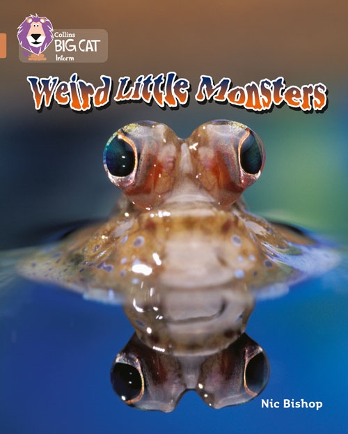 COLLINS BIG CAT WEİRD LİTTLE MONSTERS-COPPER