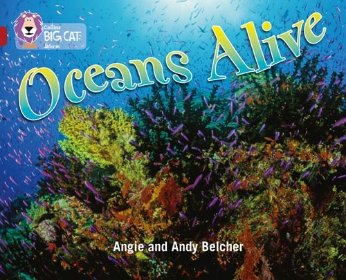 COLLINS BIG CAT OCEANS ALIVE