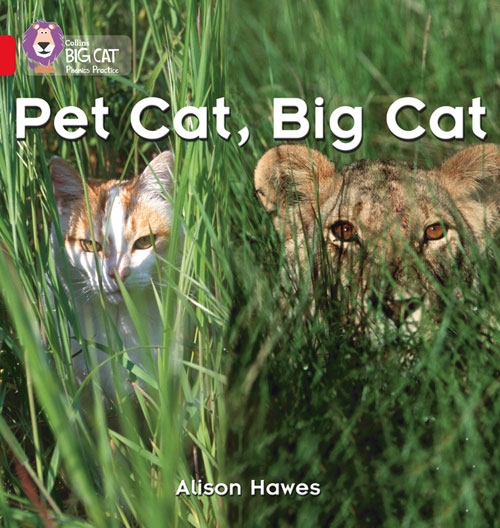 COLLINS BIG CAT PET CAT, BIG CAT