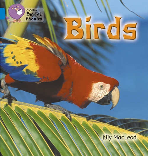 COLLINS BIG CAT BIRDS