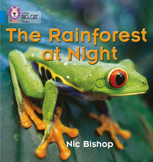 COLLINS BIG CAT THE RAINFOREST AT NIGHT