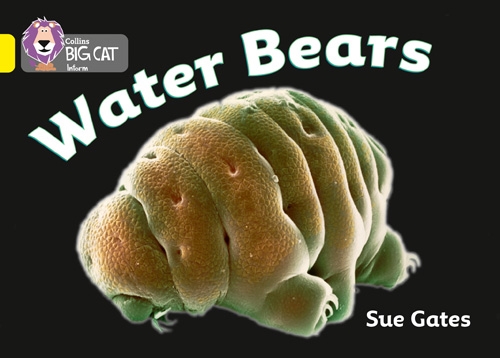 COLLINS BIG CAT WATER BEARS