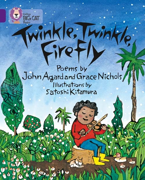 COLLINS BIG CAT TWINKLE, TWINKLE, FIREFLY