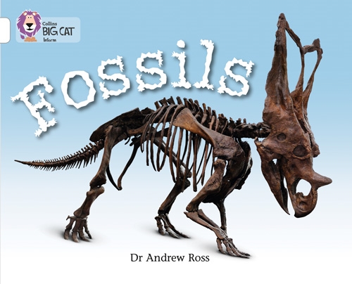 COLLINS BIG CAT FOSSILS