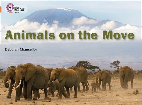 BIG CAT-COPPER BAND 12-ANIMALS ON THE MOVE