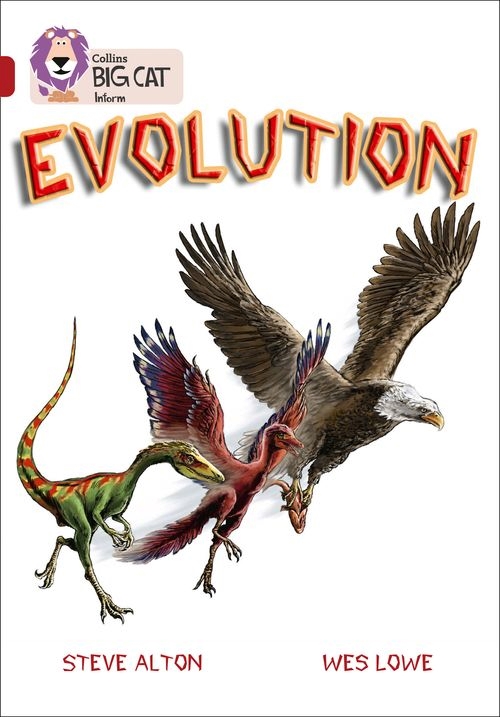 BIG CAT-RUBY BAND 14-EVOLUTION