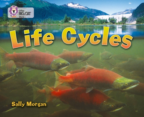 COLLINS BIG CAT LIFE CYCLES BAND 16 SPPHIRE