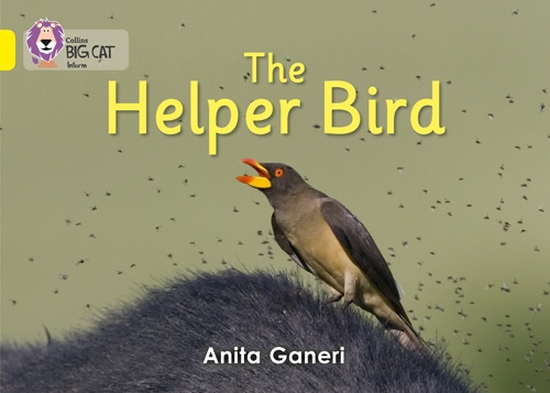 COLLINS BIG CAT HELPER BIRD YELLOW