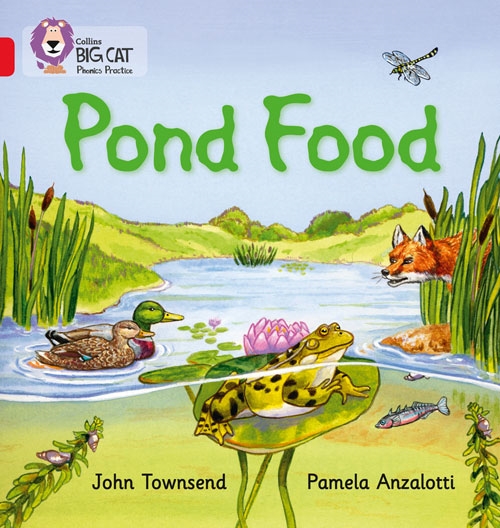 COLLINS BIG CAT POND FOOD