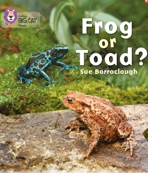 COLLINS BIG CAT FROG OR TOAD?