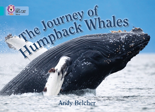 COLLINS BIG CAT THE JOURNEY OF HUMPBACK WHALES