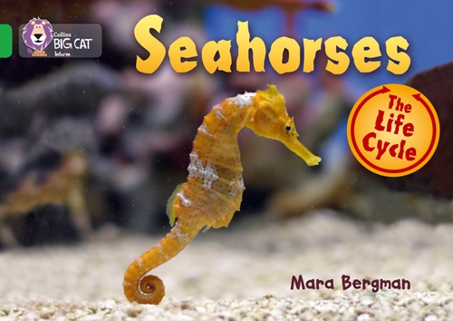 COLLINS BIG CAT SEAHORSES