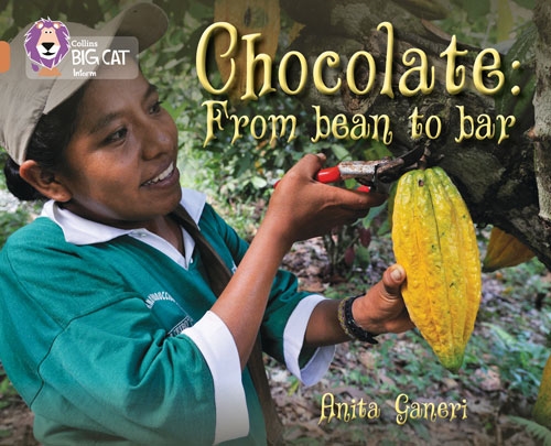 COLLINS BIG CAT CHOCOLATE: FROM BEAN TO BAR-COPPER