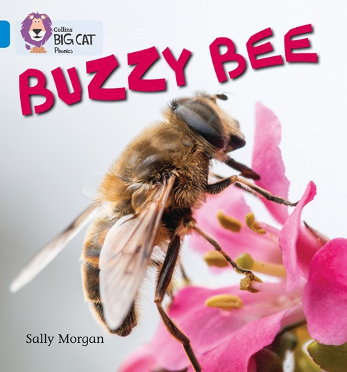 COLLINS BIG CAT BUZZY BEES