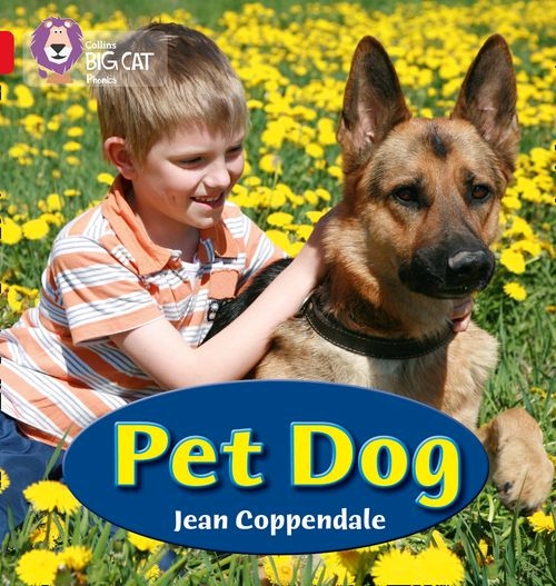 COLLINS BIG CAT PET DOG