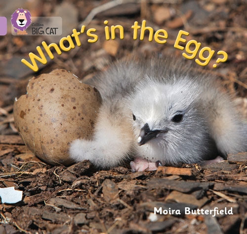 COLLINS BIG CAT WHATS IN THE EGG? LILAC