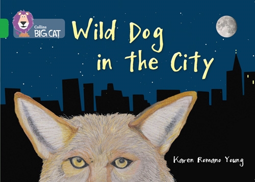 COLLINS BIG CAT -WILD DOG IN THE CITY