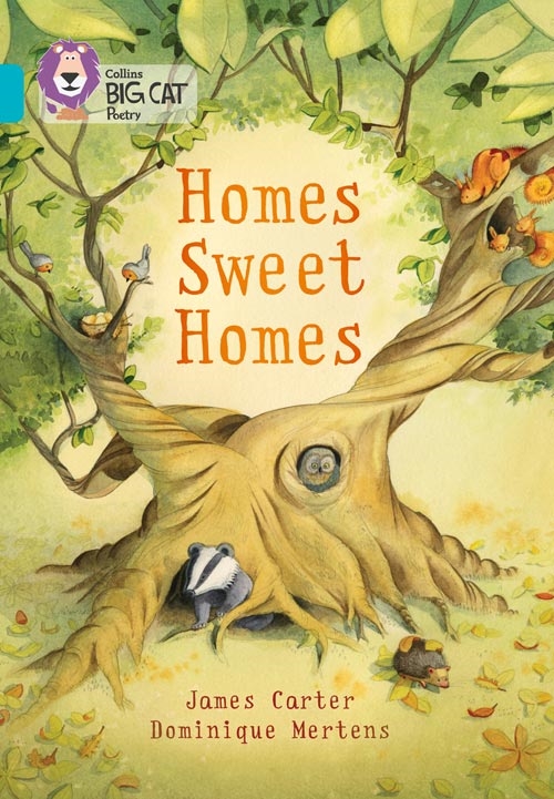 COLLINS BIG CAT HOMES SWEET HOMES TURQU.