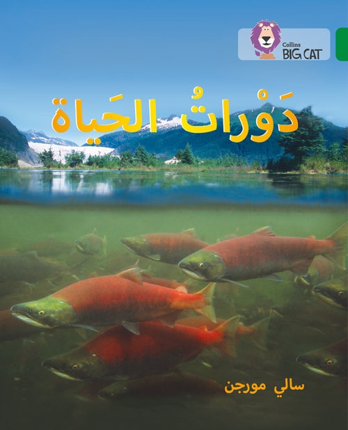 BIG CAT ARABIC LIFE CYCLES