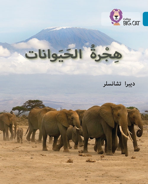 BIG CAT ARABIC ANIMAL MIGRATION