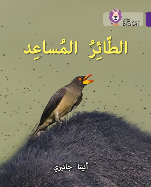 BIG CAT ARABIC THE HELPER BIRD