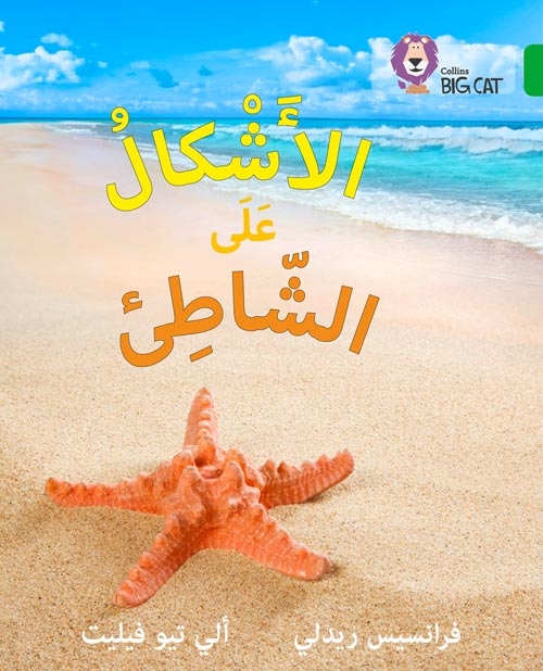 BIG CAT ARABIC SHAPES ON THE SEASHORE