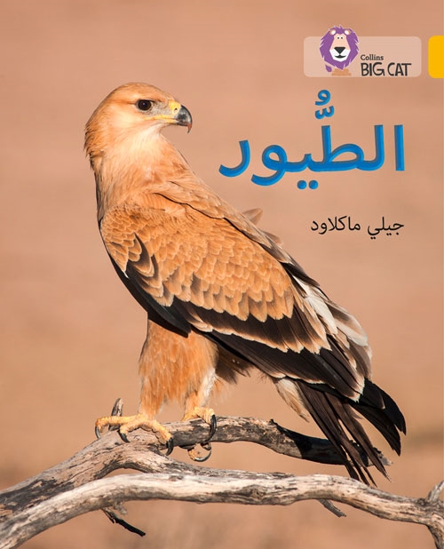 BIG CAT ARABIC BIRDS