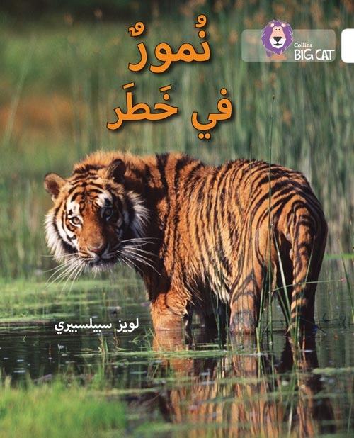 BIG CAT ARABIC TIGERS IN DANGER