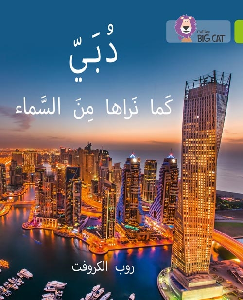 BIG CAT ARABIC DUBAI FROM THE SKY