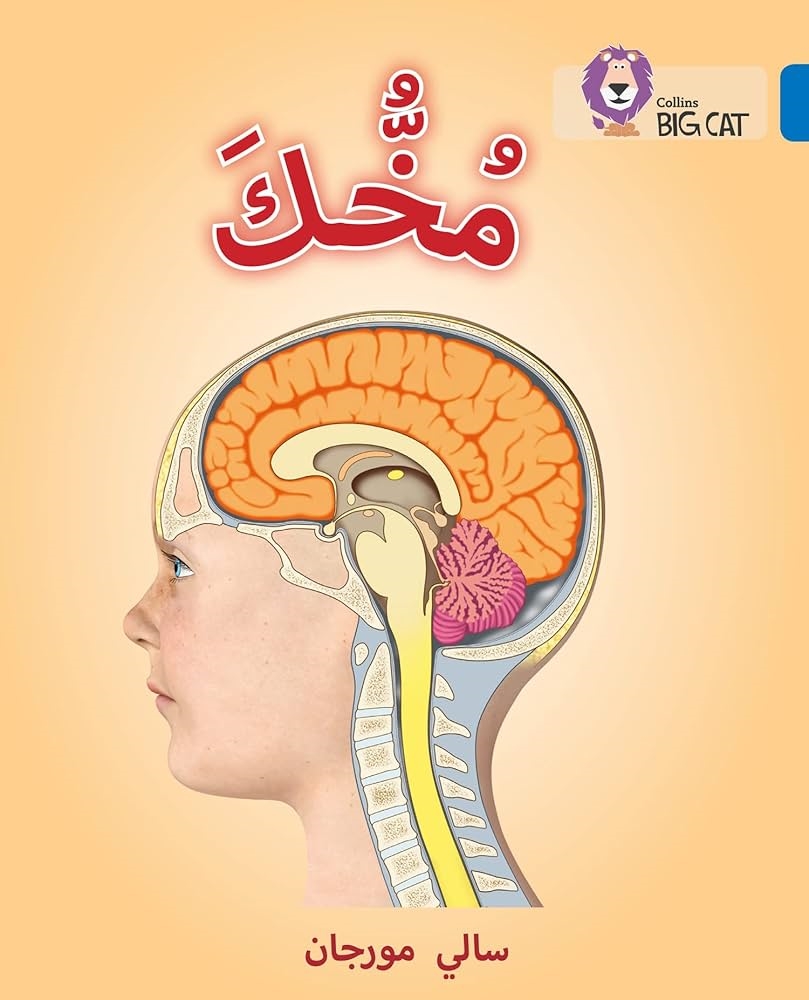BIG CAT ARABIC-UR BRAIN