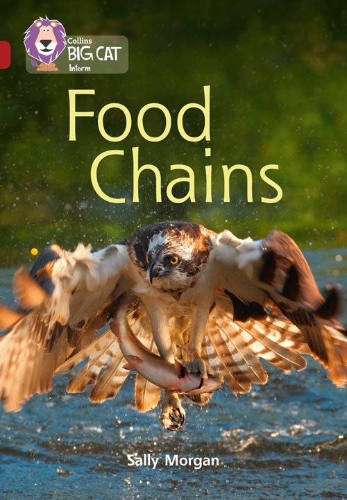 COLLINS BIG CAT FOOD CHAINS