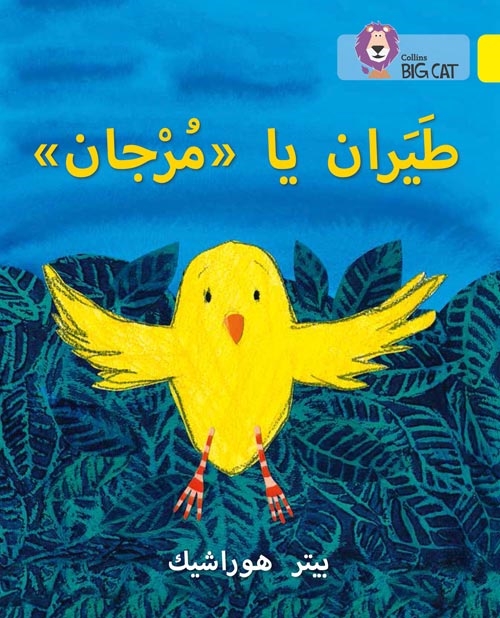 BIG CAT ARABIC FLY, MURJAN!