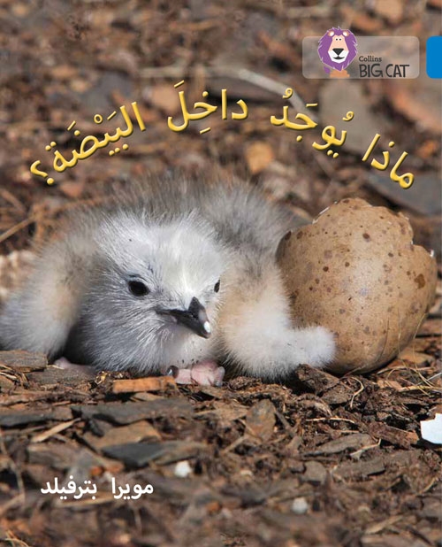 BIG CAT ARABIC WHAT’S IN EGG?
