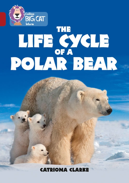 COLLINS BIG CAT LIFE CYCLES OF A POLAR BEAR RUBY
