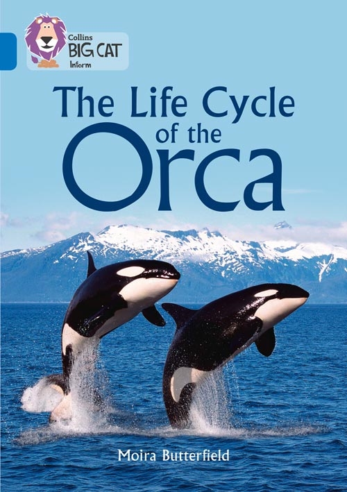 COLLINS BIG CAT LIFE CYCLES OF THE ORCA SAPPHIRE