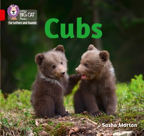 COLLINS BIG CAT CUBS