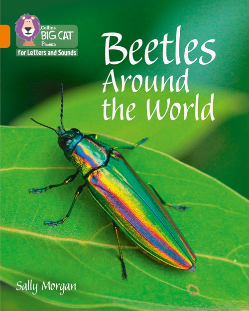 COLLINS BIG CAT BEETLES AROUND THE WORLD