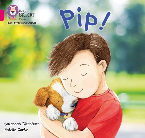 COLLINS BIG CAT PIP!
