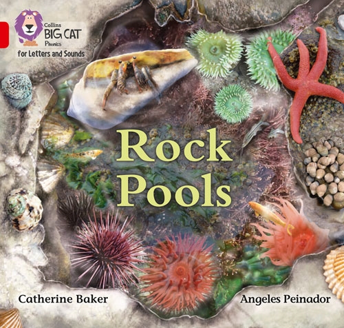 COLLINS BIG CAT ROCK POOLS