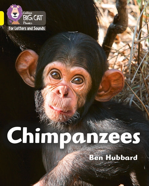 COLLINS BIG CAT CHIMPANZEES
