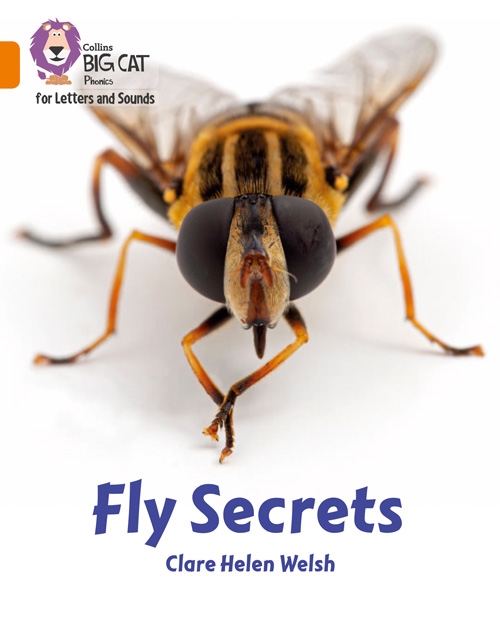 COLLINS BIG CAT FLY SECRETS